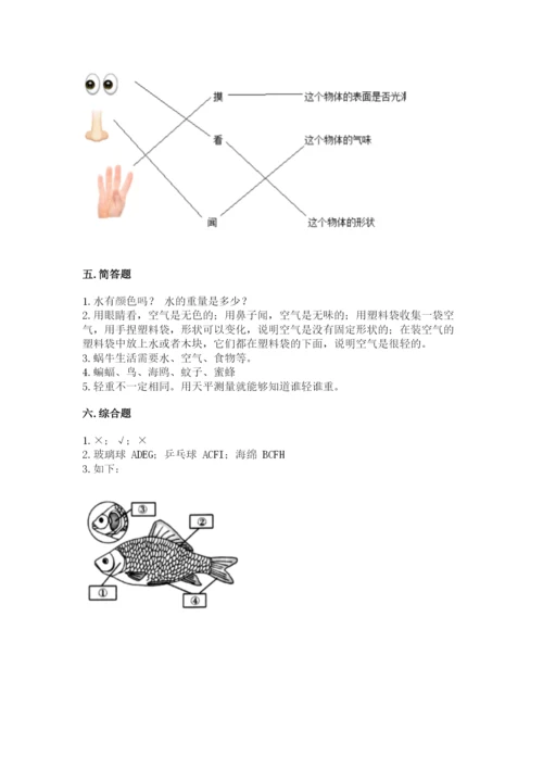 教科版一年级下册科学期末测试卷完整参考答案.docx