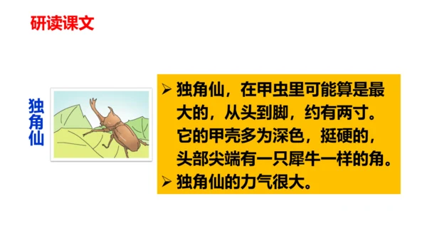 第4课《昆虫备忘录》（教学课件）