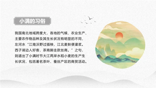 小满节气介绍PPT模板