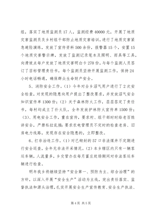 乡镇年度安全生产责任建设工作总结.docx