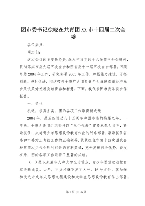 团市委书记徐晓在共青团XX市十四届二次全委.docx