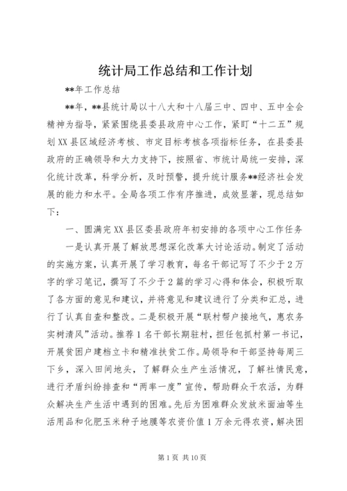 统计局工作总结和工作计划 (2).docx