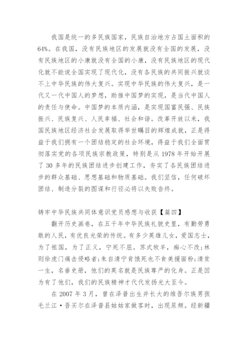 铸牢中华民族共同体意识党员感想与收获.docx