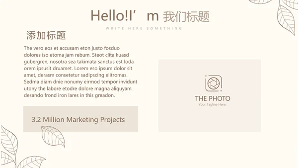 淡雅小清新终工作总结通用PPT动态模板