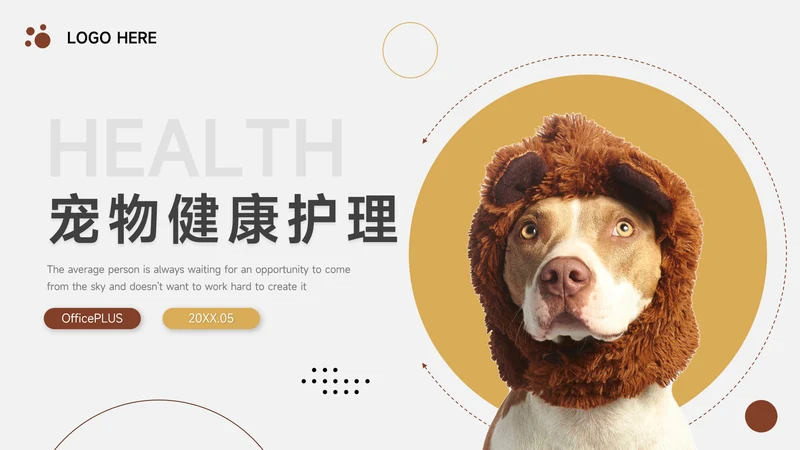 黄色实用宠物健康护理PPT模板