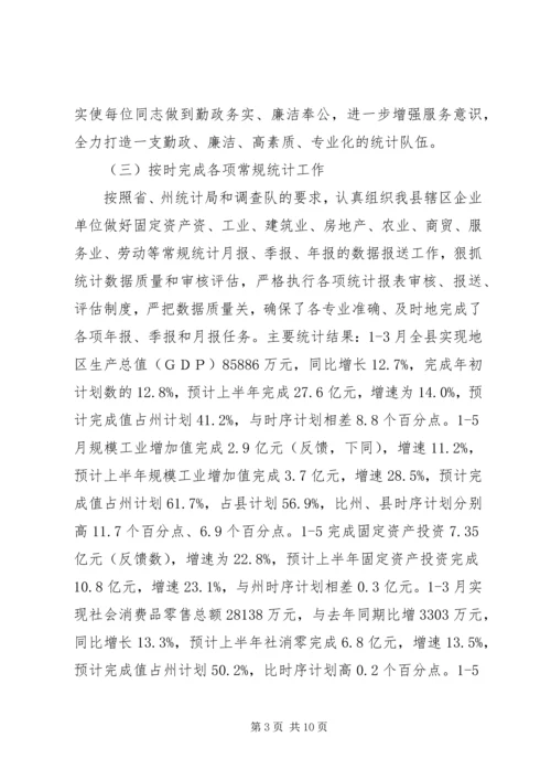 统计局上半年工作总结及下半年工作计划.docx