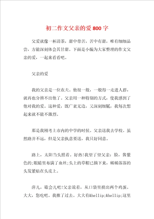 初二作文父亲的爱800字