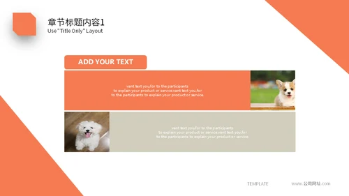 宠物乐园萌宠小狗主题通用PPT模板