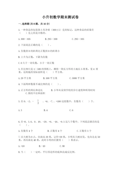 小升初数学期末测试卷及完整答案【有一套】.docx