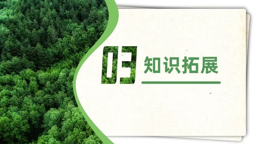 绿色简约实拍要是你在野外迷了路二年级语文下册说课PPT课件小学语文二年级下册课件