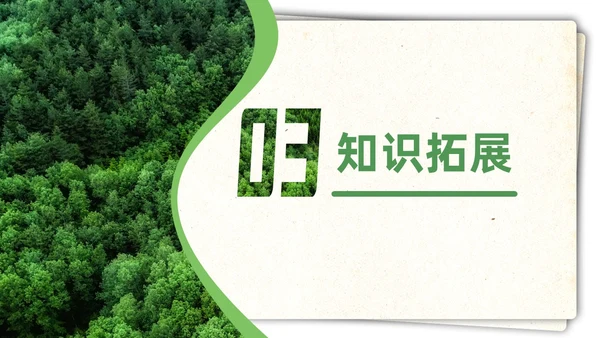绿色简约实拍要是你在野外迷了路二年级语文下册说课PPT课件小学语文二年级下册课件