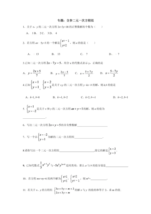 专题：含参二元一次方程组.docx