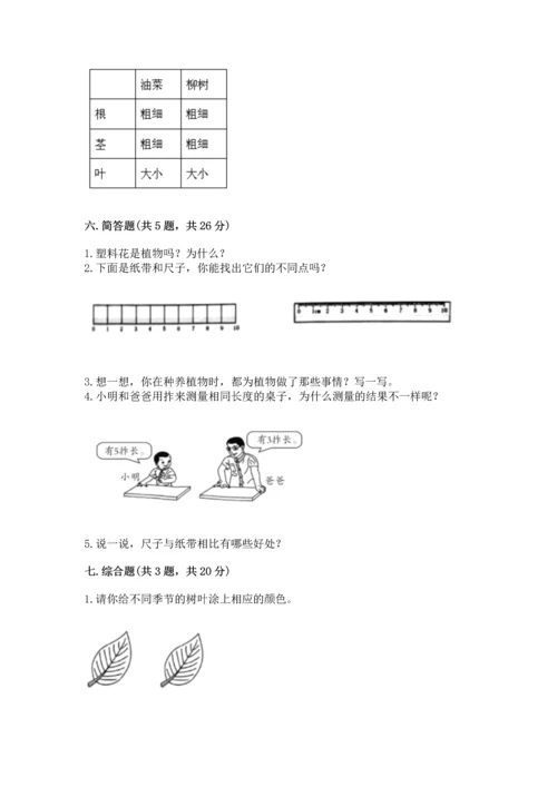 教科版一年级上册科学期末测试卷附参考答案（综合卷）.docx