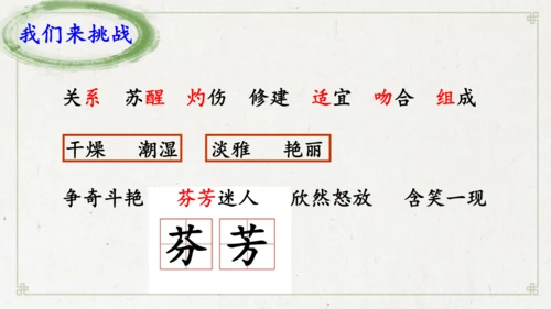 13《花钟》（课件）
