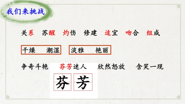 13《花钟》（课件）
