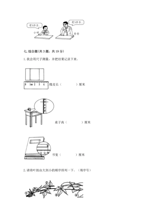 教科版一年级上册科学期末测试卷精品（基础题）.docx