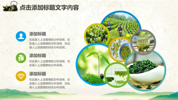 绿茶产品介绍茶叶茶文化春茶紫砂壶PPT