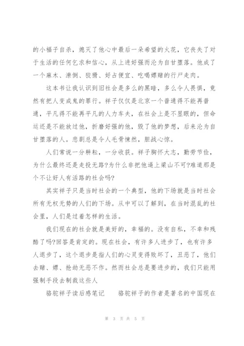 骆驼祥子读后感笔记.docx