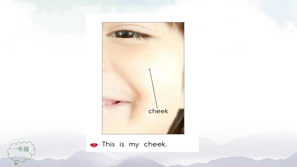 Unit 2 Face Lesson 3 课件共32张PPT)