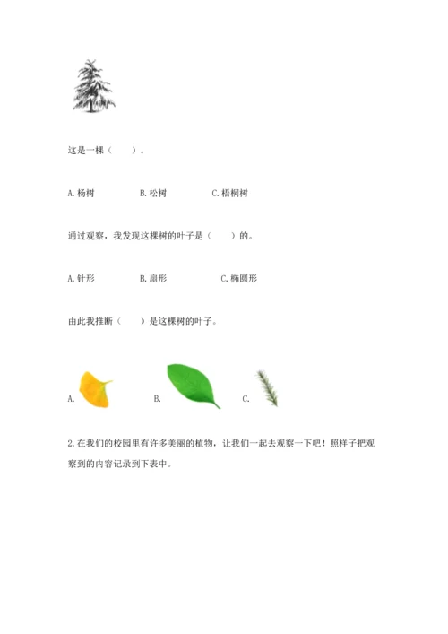 教科版科学一年级上册第一单元《植物》测试卷含答案（名师推荐）.docx