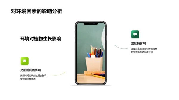 植物生长科学探索