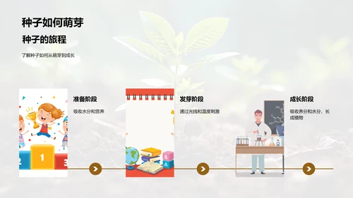 探索植物成长