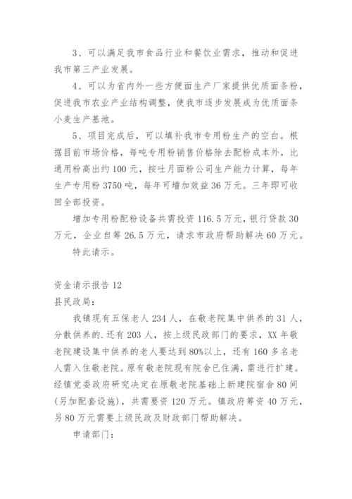 资金请示报告.docx