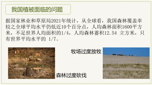3.6 爱护植被，绿化祖国2023-2024学年七年级生物上学期同步精品课件（人教版）(共21张PP