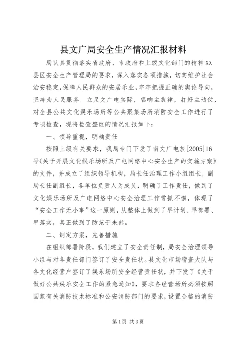 县文广局安全生产情况汇报材料.docx