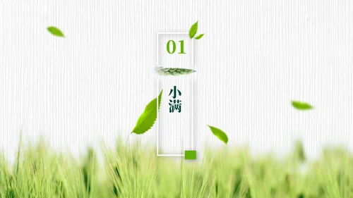 小满——禾苗青苗稻谷嫩芽通用PPT模板