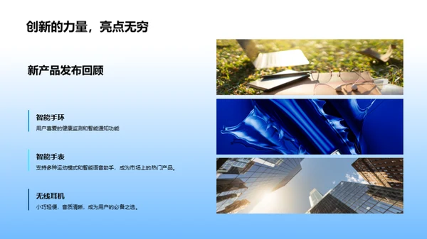 年度总结与未来展望
