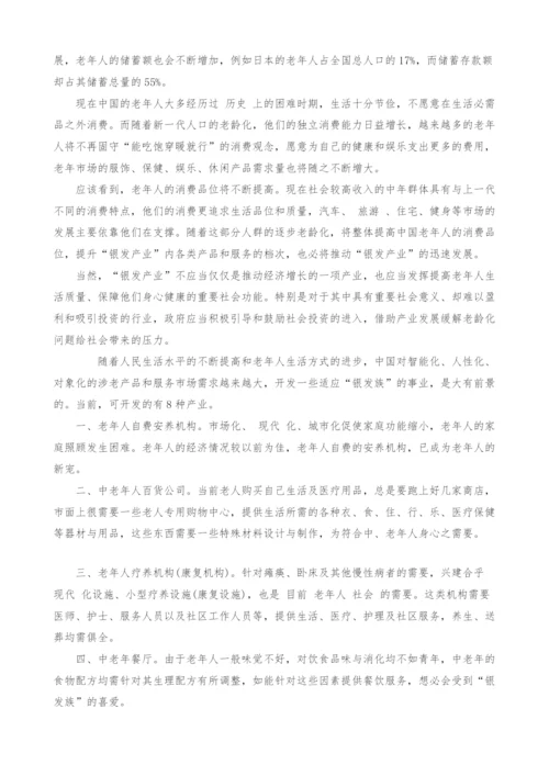 银发产业投资分析.docx
