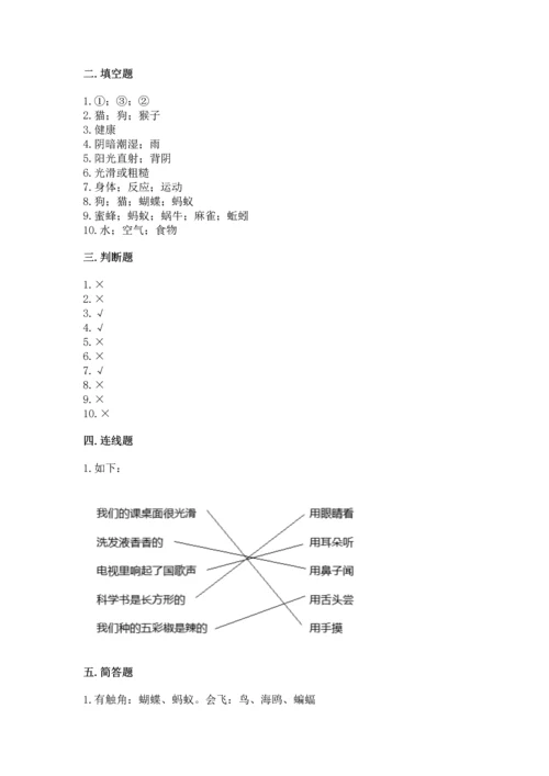 教科版一年级下册科学期末测试卷【历年真题】.docx