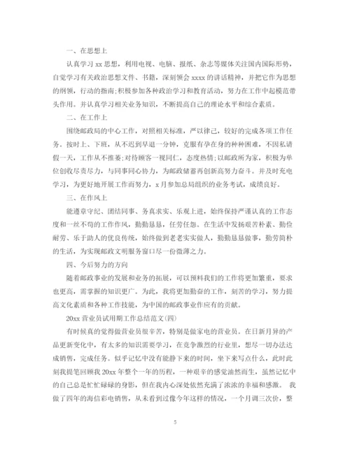 精编之营业员试用期工作总结范文.docx