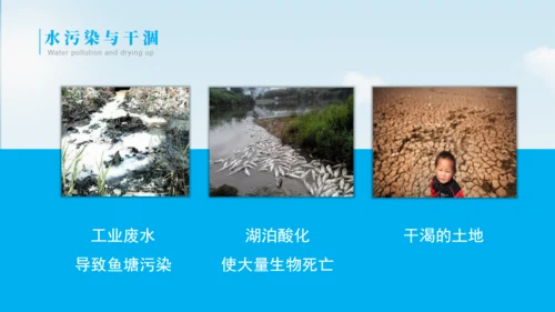 节约用水教育了解水资源PP模板