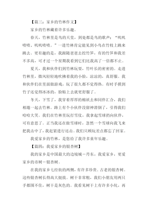 家乡的一处景物作文350字.docx