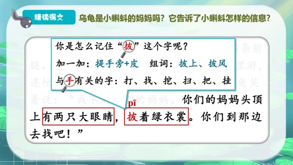 1 小蝌蚪找妈妈  第2课时 课件