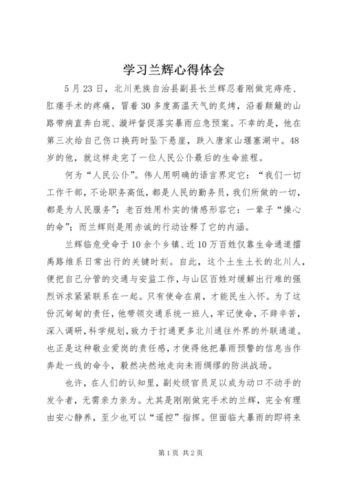 学习兰辉心得体会.docx