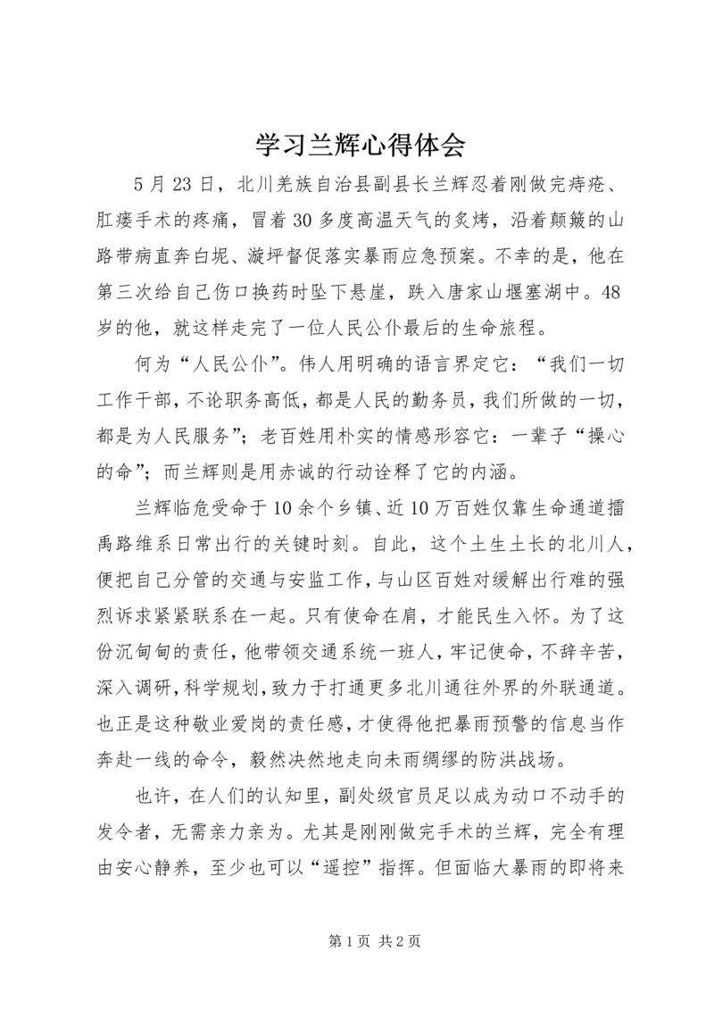 学习兰辉心得体会.docx