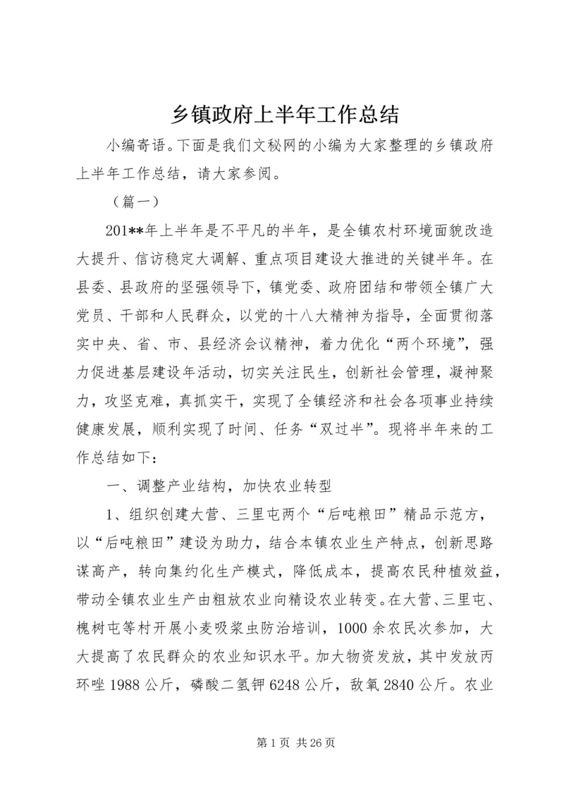 乡镇政府上半年工作总结_1.docx