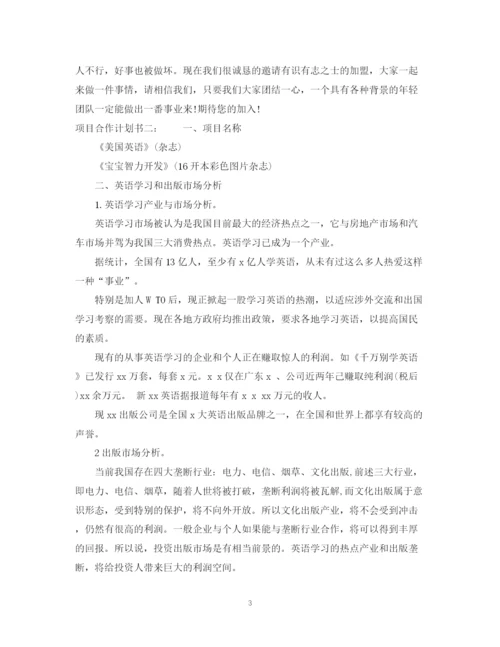 精编之网站企业项目合作计划书范文.docx