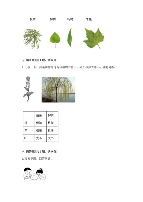 教科版科学一年级上册第一单元《植物》测试卷附完整答案【全优】.docx