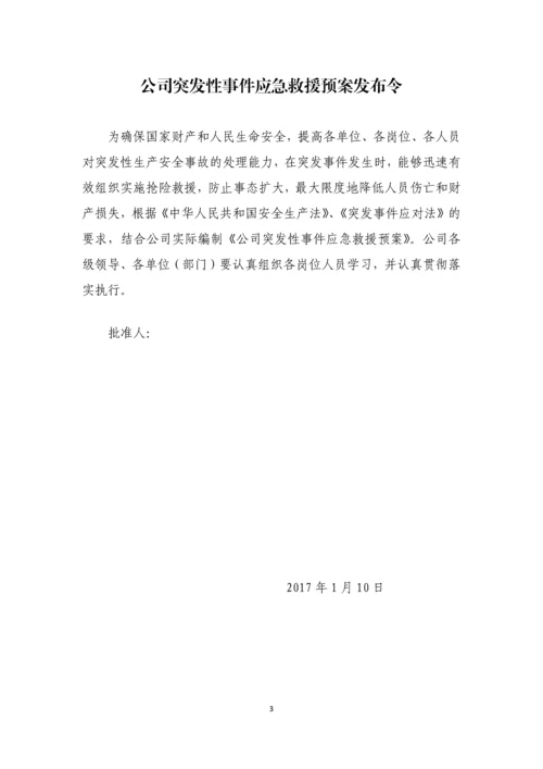 生产公司突发性事件应急救援预案.docx