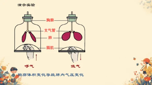 人教版（新课程标准）七年级下册4.3.2 发生在肺内的气体交换课件(共20张PPT)