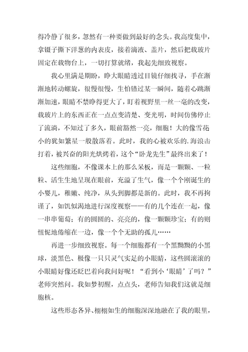 观察作文7篇作文观察