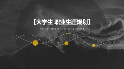 灰色简约大学生职业生涯规划通用PPT模板