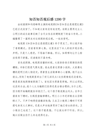 知否知否观后感1200字.docx