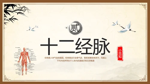 棕色复古中医经络养生PPT模板宣传PPT动态PPT