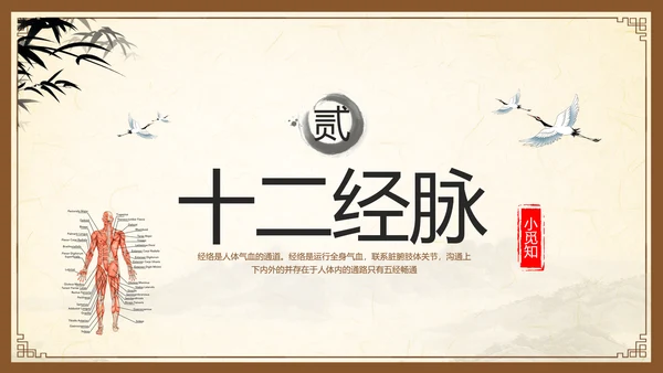 棕色复古中医经络养生PPT模板宣传PPT动态PPT