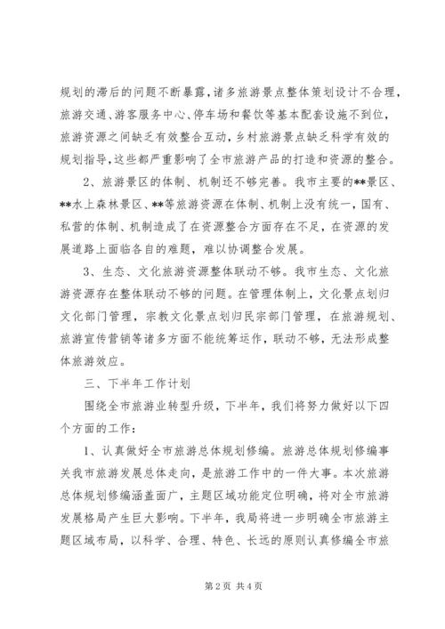 市旅游局上半年工作总结和下半年工作计划 (10).docx